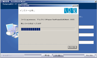 PostgreSQL のインストールの実行
