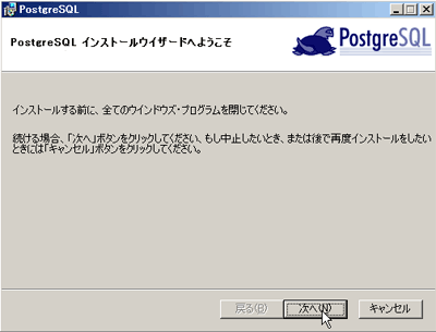 インストール実行
